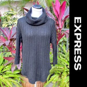 Express 3/4 Sleeve Cowl Turtleneck Sweater